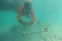 floating-Pikat Wisatawan, Kepulauan...