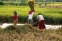 floating-Waspada! Indonesia Terancam...