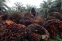 floating-Permintaan Lesu, Harga...