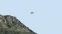 floating-Sepanjang 2021, Jepang...