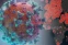 floating-Update Covid-19 Omicron...