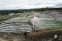 floating-Program Food Estate...