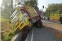 floating-Truk Tabrak Pohon dan...