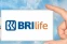 floating-BRI Life Kukuhkan Diri...