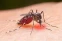 floating-Waspada! Ribuan Warga...