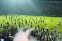 floating-127 Meninggal, PSSI...