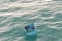 floating-Nelayan Bintan yang...