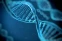 floating-Bangun Database DNA...