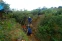 floating-Korban Google Maps,...