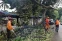 floating-Bogor Hujan Angin, Dahan...
