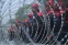 floating-Peringatan May Day 2023...