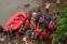 floating-Tak Bisa Berenang, Bocah...