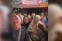 floating-Viral! Ratusan PKL Menangis...
