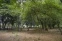 floating-Hutan Kota UKI Cawang...