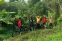 floating-Gowes, Eks Menteri Perindustrian...