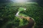 floating-Hutan Amazon Terancam...