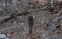 floating-Inilah Alasan Gempa...