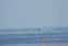 floating-Siap Berperang Melawan...