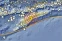 floating-Gempa Bumi Berpusat...