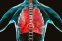 floating-Epidemiolog Sebut Pneumonia...