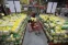 floating-BPS Sebut Harga Beras...