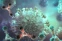 floating-Kasus Mycoplasma Pneumonia...
