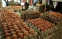 floating-Bukan Hoaks, Telur Harganya...
