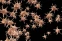floating-Perlukah Pasien DBD...