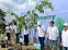 floating-Gelar Green Harmony...