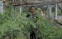 floating-PLN Gandeng Kementan...