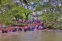 floating-Viral Jembatan Taman...