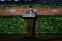 floating-Di Ajang APEC CEO Summit,...