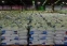floating-Realisasi Penyaluran...