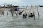 floating-Kasus Pagar Laut Tangerang,...