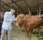 floating-Jejak Pendidikan Willie...