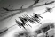 floating-Gempa Magnitudo 5,1...