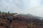 floating-264 Hektare Lahan Gambut...