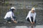 floating-Peringati Hari Mangrove...