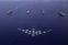 floating-Bawa Jet Tempur Siluman...