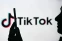 floating-Pemerintah Puji TikTok...