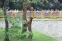 floating-Ragunan Buka hingga...
