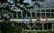 floating-Dihukum IOC, Kemenpora...