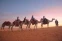 floating-Arab Saudi Gelar Travel...