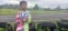 floating-Profil Varo Mario, Pembalap...