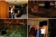 floating-Bukti Foto: Bill Clinton...