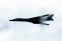 floating-Negara NATO Ini Tutup...