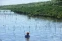floating-Restorasi Bakau Penting...