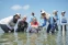 floating-Hari Bumi, Pertamina...