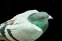 floating-Burung Merpati Punya...