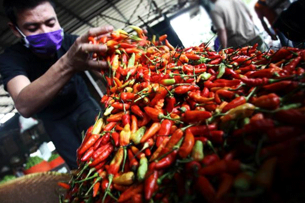 Harga Cabai Rawit Berangsur...